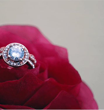 Oval solitaire with hidden halo for Sophie